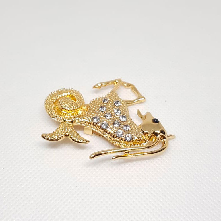 Broche Doree Zodiaque Capricorne Horoscope