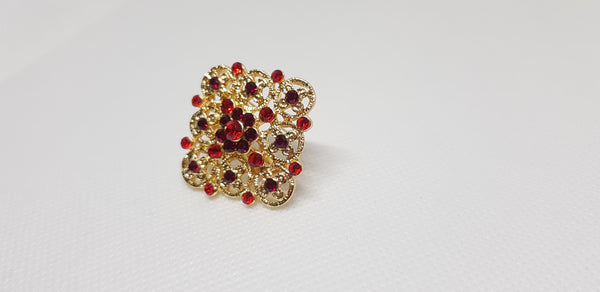 Golden Victorian Red Circle Brooch