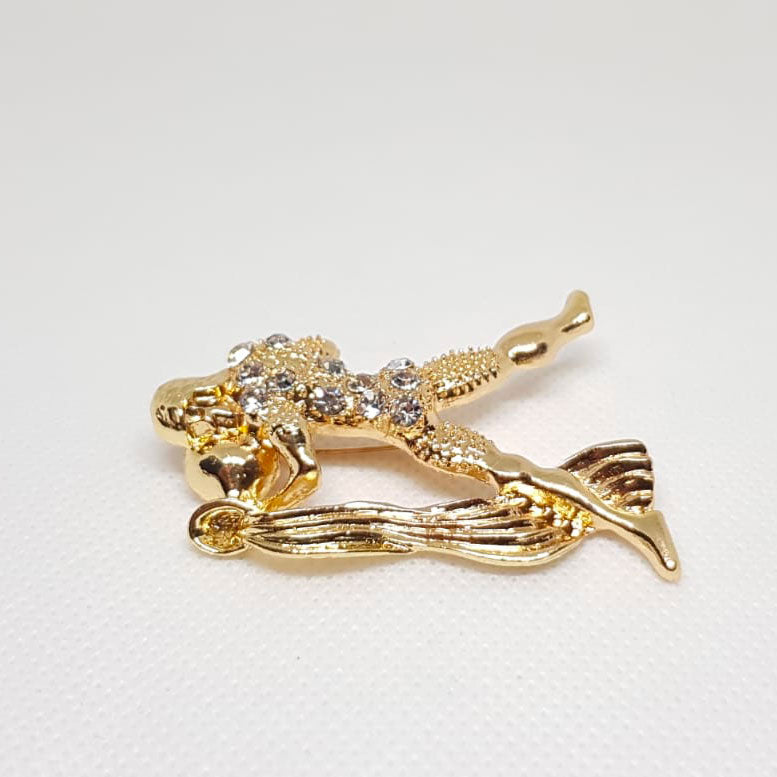 Zodiac Aquarius Horoscope Golden Brooch